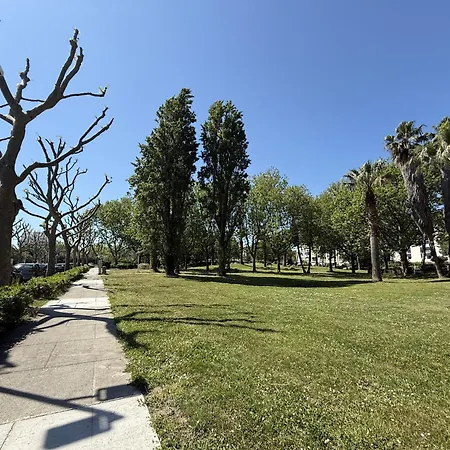 Sol-y-days Fleurie 1 Grande Terrasse Et Parking